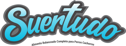 Suertudo Logo